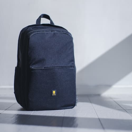 Herschel Little America Backpack